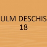 Ulm deschis 18